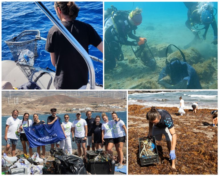 Innoceana organizes 45 marine debris cleanups across Tenerife Island